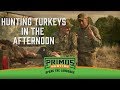 Hunting Turkeys In The Afternoon