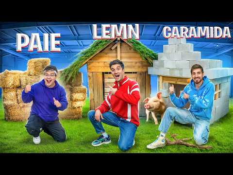 STRAW, WOOD or BRICK HOUSE! Which one will last?