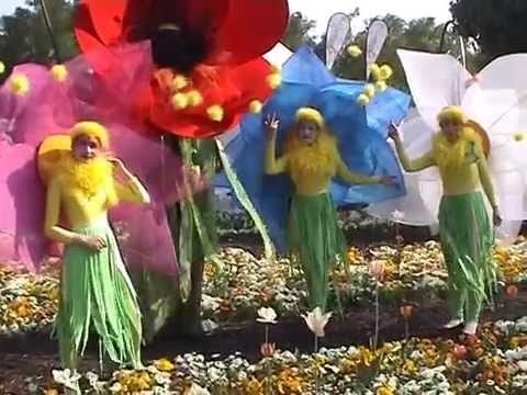 Flower Magic-Fenix Theatre