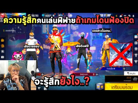 ฟีฟาย
