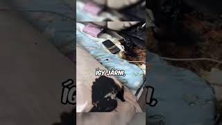 Video thumbnail image