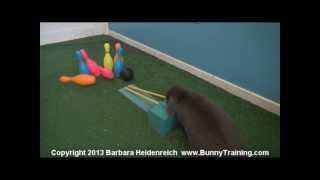 Super Cute Bowling Bunny