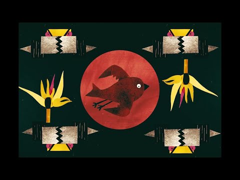 Joao Selva - Passarinho [Official Video] ©  Underdog Records