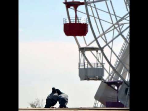 14 SDCF 12 12 1979 testimonies and final comments