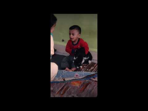 Abu bakar playing with cat 🐈 #shorts #cat #mrmaddyvlogs