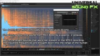 Video thumbnail for Pitch Down Sound Quality - Rode NTG3 & Sennheiser MKH 8040 by Imphenzia