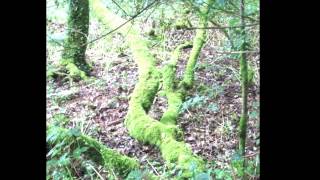 Versunken und Vergessen von Paula Hering