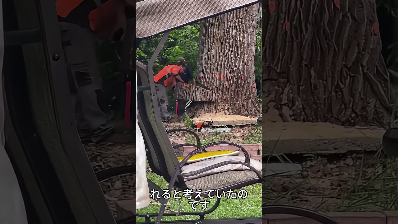 彼らは木を切りましたが、家の持ち主はそれを気に入りませんでした