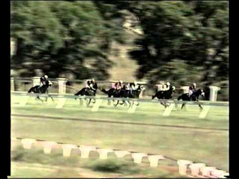 borrowdale park racecourse 22 April 2012 race6