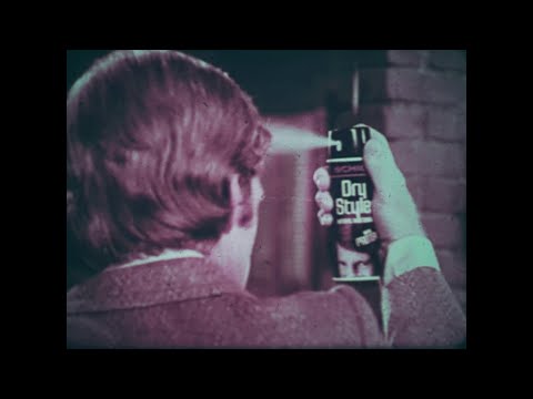 Schick Styling Dryer