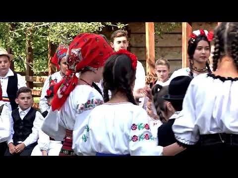 Marius Ciprian Pop - Vai lin vai de pelin