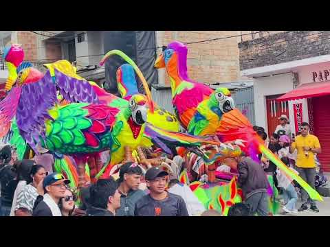 Desfile 6 de Enero Sibundoy Putumayo #carnavaldenegrosyblancos #sibundoy putumayo