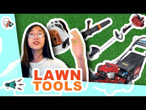 The Loud Problem in Every Neighborhood | Noise Hazards