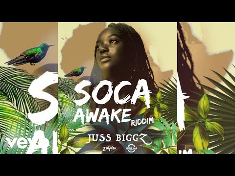 Juss Biggz (Shotta Biggz) - Nah Miss Carnival