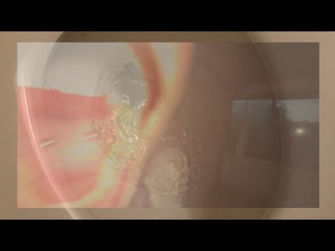 POTTYMOUTH PAZ (shortfilm)