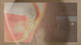 POTTYMOUTH PAZ (shortfilm)