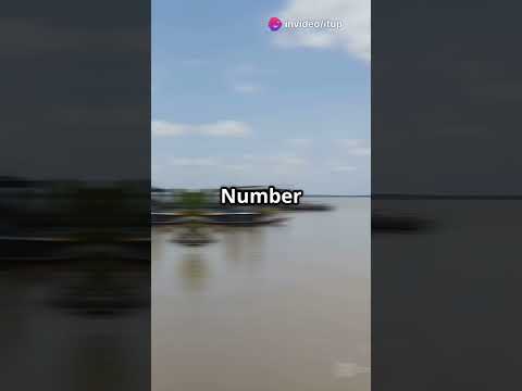 Best places to visit in Suriname, South America series #11