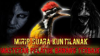 Download lagu MASTERAN PELATUK BAWANG MIRIP SUARA KUNTILANAK MENYERAMKAN   !!! mp3