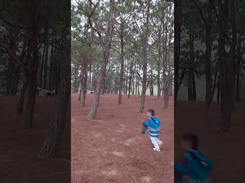 Municipio la Playa de Belén Los pinos @LudoTournamentOnline@thegrandtour#shorts#viralshorts