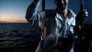 preview picture of video 'fishing moreton bay for snapper and cobia at moreton island'