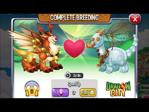 NEW BREEDING: Rudolph Dragon & Snow Man Dragon [EXCLUSIVE BREEDING DRAGON]