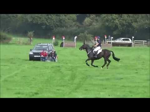 Alex Holman & Rock Solid II - Monmouth Novice XC 15/9/18