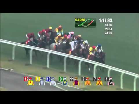 2015 HK-Group 1 Hong Kong Classic Cup - Thunder Fantasy