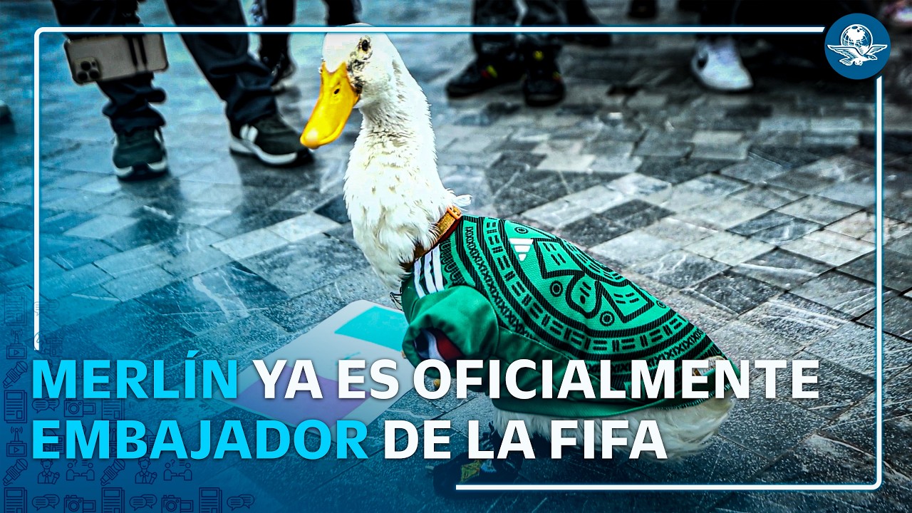 Merlín, el pato viral del Mundial, ¡ya es embajador de la FIFA!