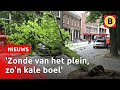 33 zieke kastanjebomen op Bossche Parade worden gekapt | Omroep Brabant