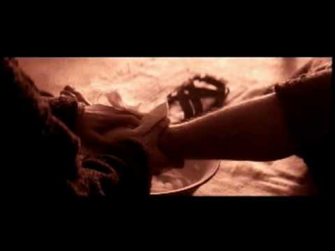 O Sentido Da Vida - Irmãos de Fé