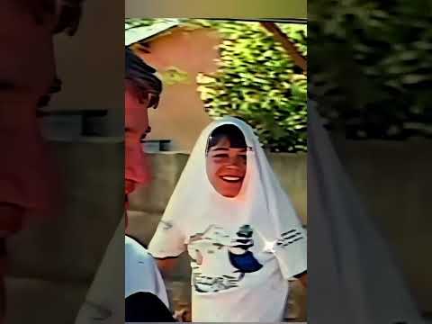 Abelhas assassinas atacam e cidade e matam, 