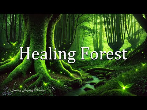 Miracle Tone Healing Music 639Hz + 528Hz + 963Hz | Spiritual Awakening | Healing Forest Ambience