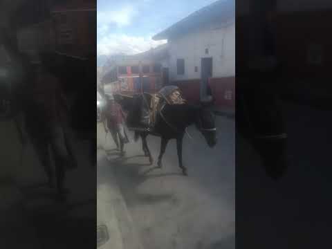 ituango Antioquia hoy sábado 22 dé noviembre