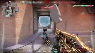 Spotlight Clip