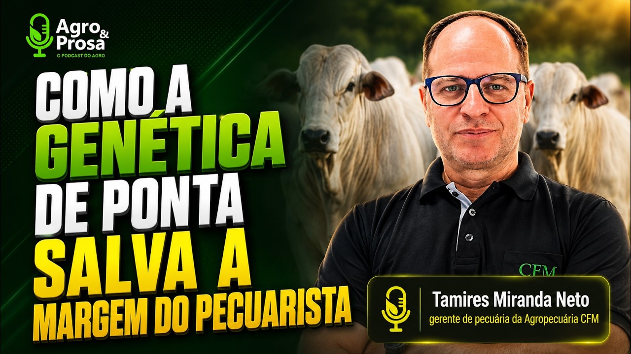 Genética ganha espaço como estratégia para pecuária de corte