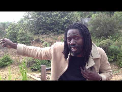 Reggae styles and genres explained - stevie culture