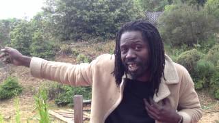 Reggae styles and genres explained - stevie culture