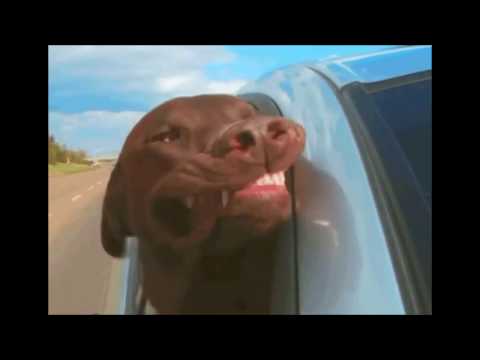 *FREE* Isaiah Rashad x Flying Lotus Type Beat - Out The Window ǝɯı⊥ ǝʞı˥