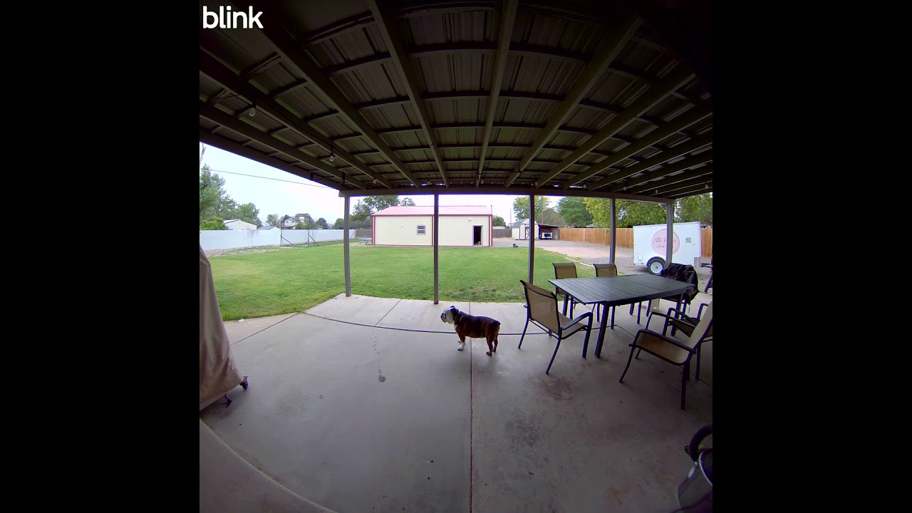 Blink Battery Doorbell 2K+ - Example of clips fused together by the Blink app - YouTube