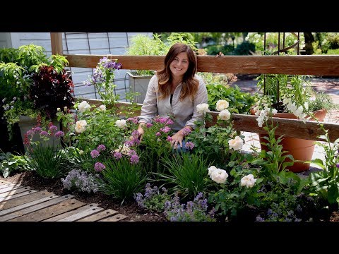 Tips for Planting a Cottage Garden! 🌸🌿// Garden Answer