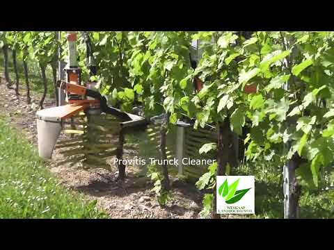 Provitis Trunck Cleaner - SRB22