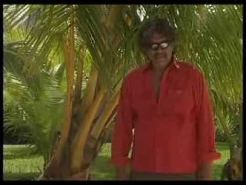 "ARII MATAGI" - BARTHELEMY