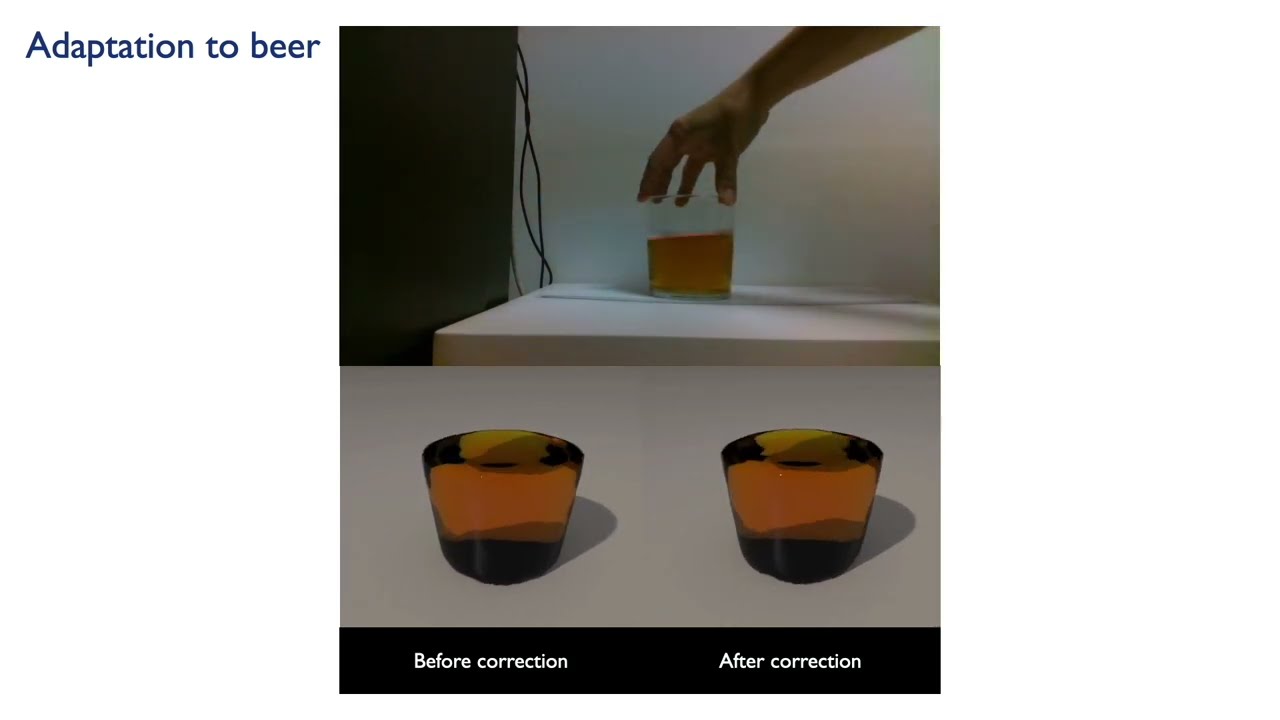 Physics-informed Reinforcement Learning for perception and reasoning about fluids
