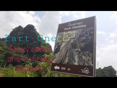 Sticky shoes and a sneaky scorpion