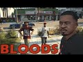 Real brands Crips & Bloods Lamar 17