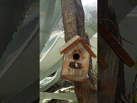 Misiones en San Antonio Texas