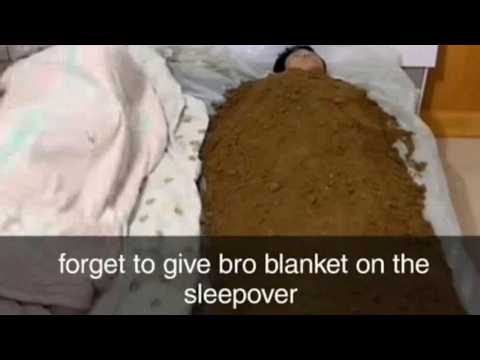 Random memes I permanently borrowed PT.1293