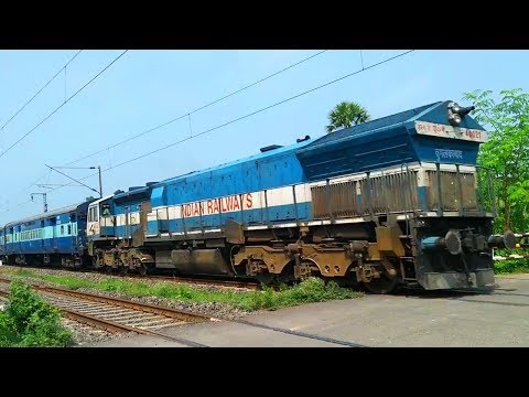 Locovids - Episode 4