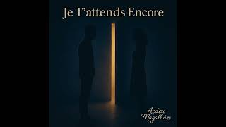 Je T'Attends Encore