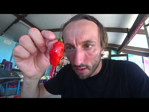 In Fiji 🇫🇯 Trying Ota (River Fern) & Bongo Chilli